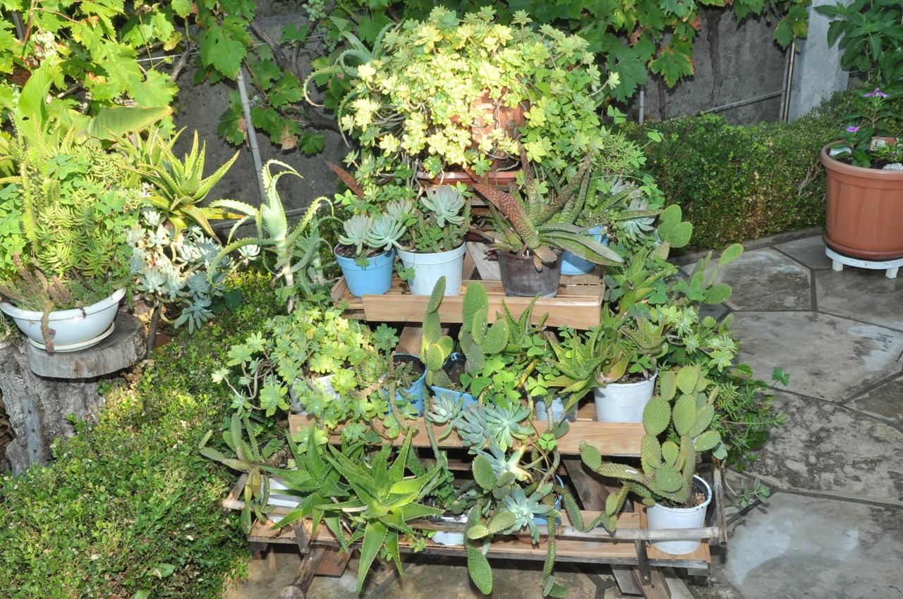 Апартаменты Apartments La Dolce Vita Херцег-Нови-28