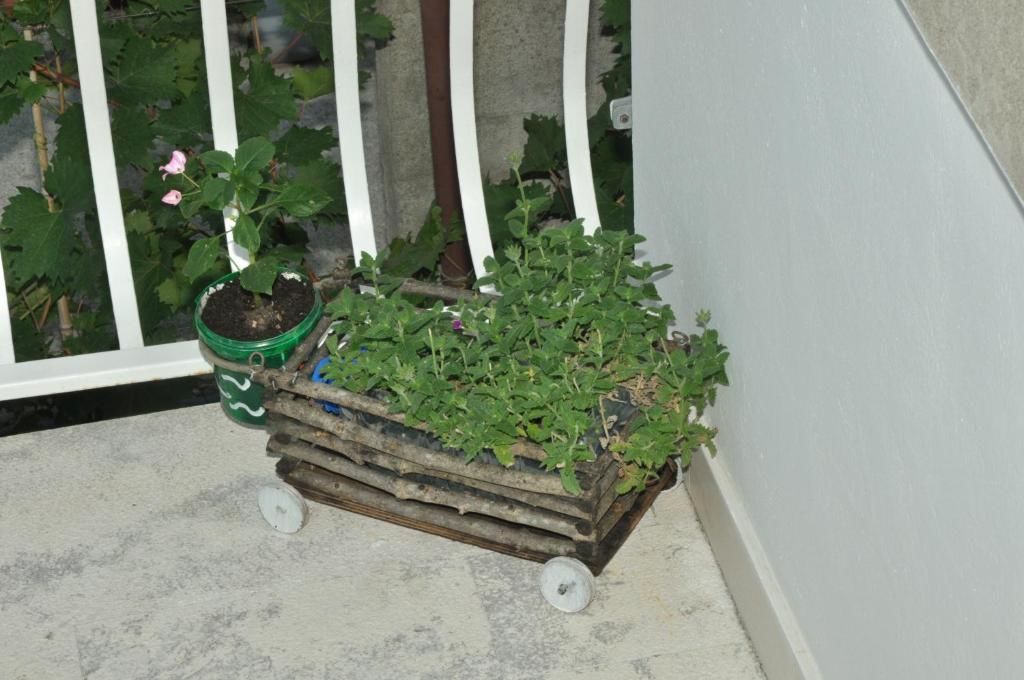 Апартаменты Apartments La Dolce Vita Херцег-Нови-76