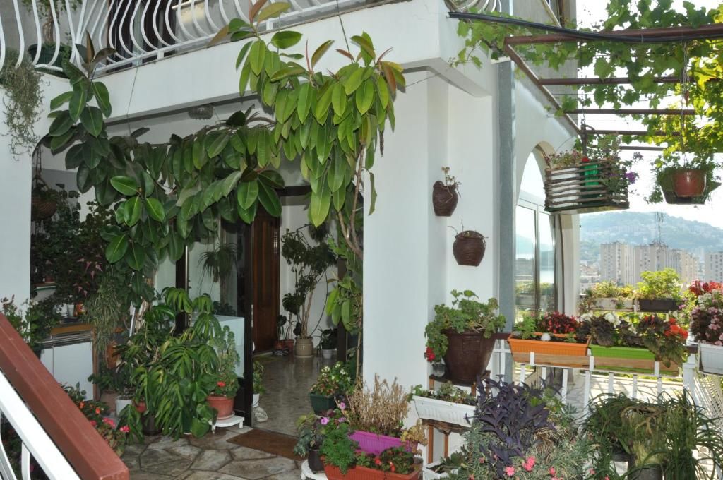 Апартаменты Apartments La Dolce Vita Херцег-Нови-78