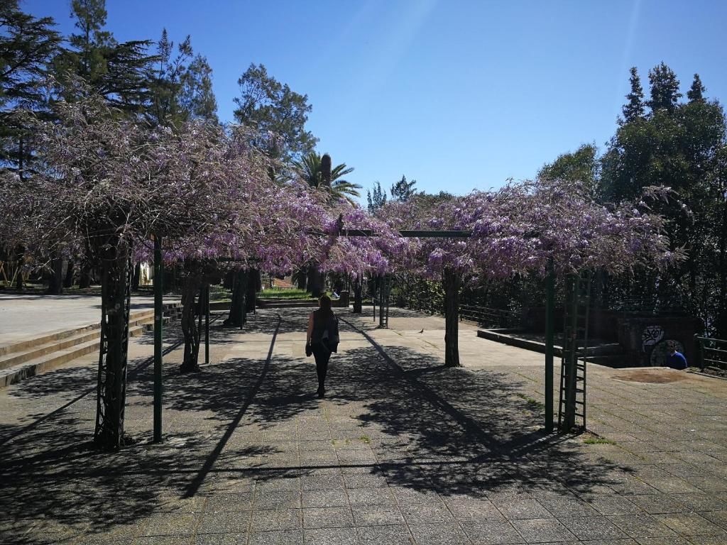 Апартаменты Apartments La Dolce Vita Херцег-Нови-93