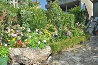 Апартаменты Apartments La Dolce Vita Херцег-Нови Апартаменты с балконом-50