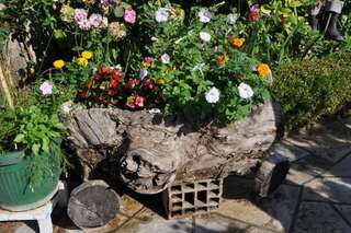 Апартаменты Apartments La Dolce Vita Херцег-Нови Апартаменты с балконом-51