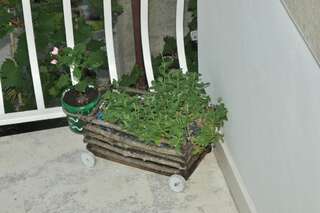 Апартаменты Apartments La Dolce Vita Херцег-Нови Апартаменты с балконом-53