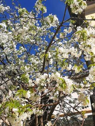 Апартаменты Apartments La Dolce Vita Херцег-Нови Апартаменты с балконом-61