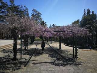 Апартаменты Apartments La Dolce Vita Херцег-Нови Апартаменты с балконом-70