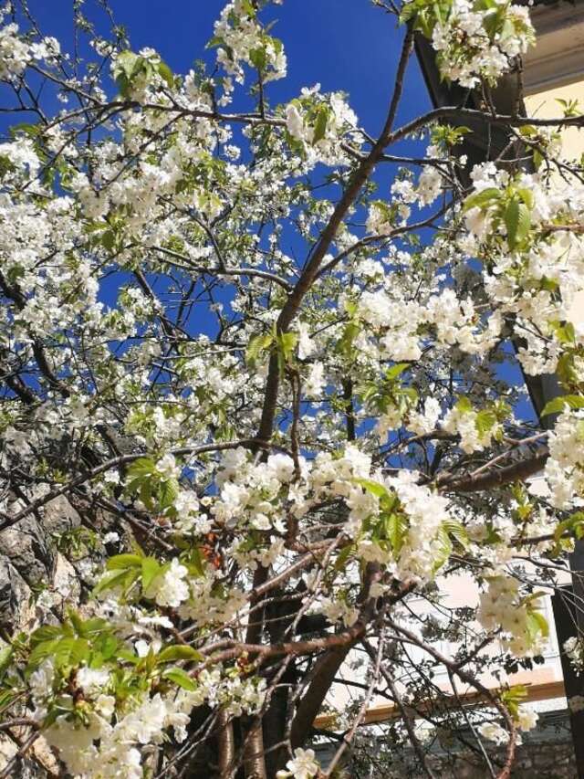 Апартаменты Apartments La Dolce Vita Херцег-Нови-83