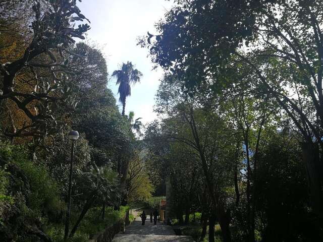 Апартаменты Apartments La Dolce Vita Херцег-Нови-89