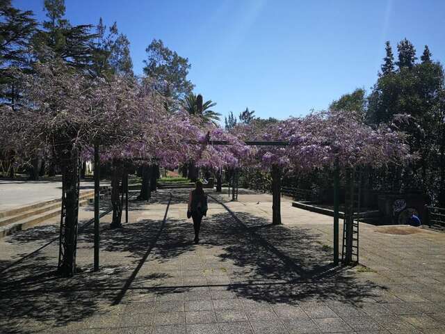 Апартаменты Apartments La Dolce Vita Херцег-Нови-92